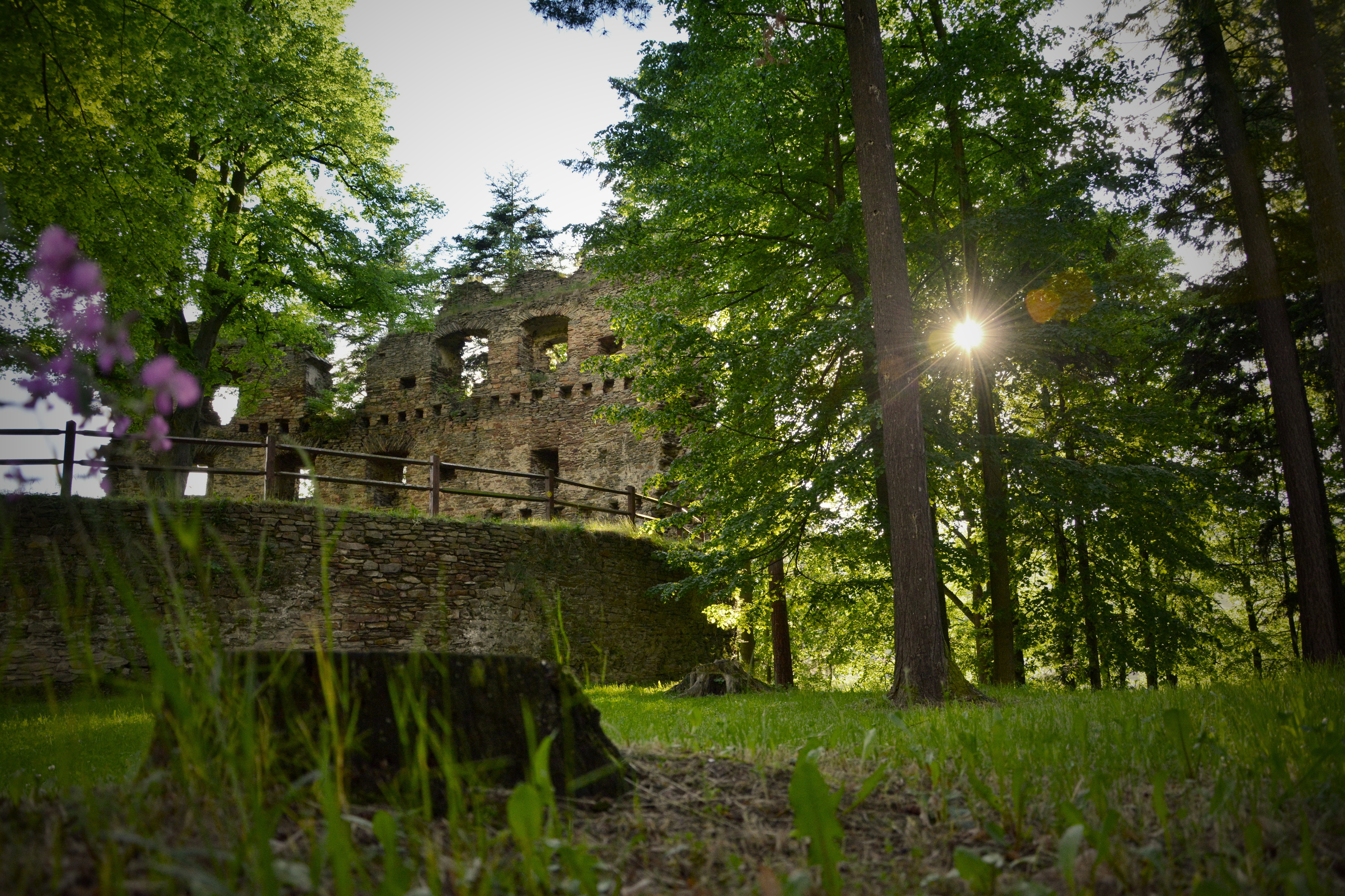 Zajímavé lokality k navštívení- zřícenina hradu v Dalečíně jiný pohled