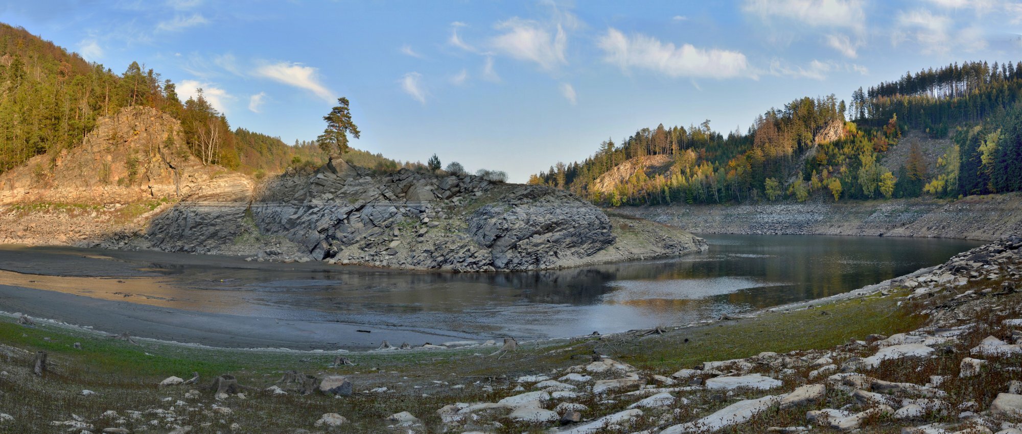 Chudobínská borovice 