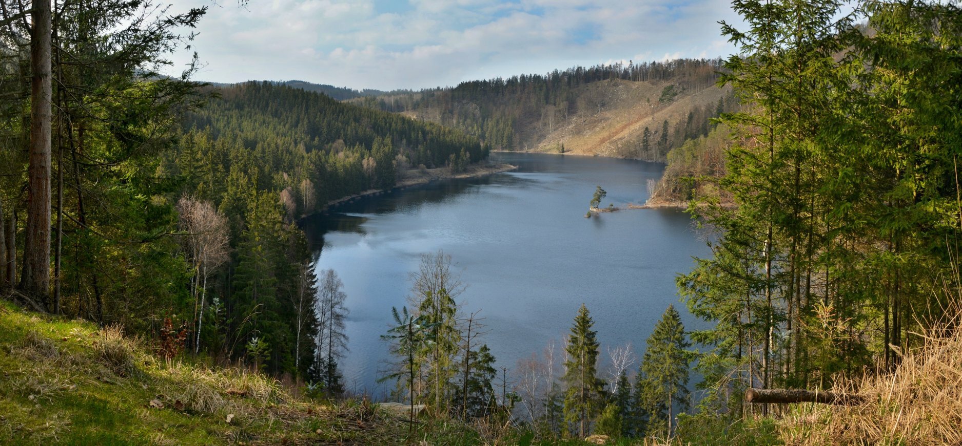 Chudobínská borovice pohled shora