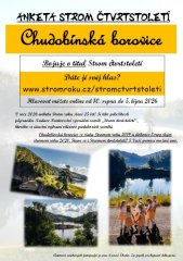 Chudobínská borovice bojuje o titul Strom čtvrtstoletí plakátek